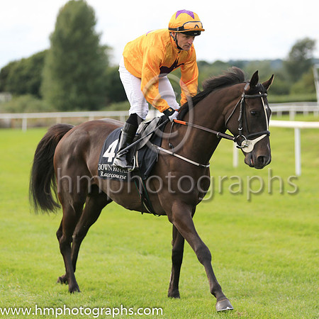 08th Ebony Belle and M A Gallagher ( 4 , yellow, purple star ) Trainer - P Martin , Owner - P M Mooney