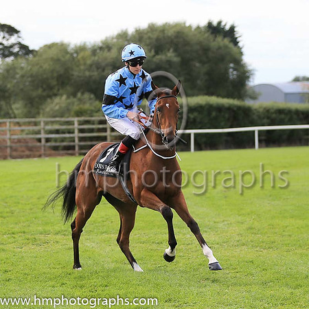 06th Olwen?s Dream and K K Hennessy 7 ( 7 , light blue, black stars ) Trainer - Miss Brown , Owner - John J Dillon