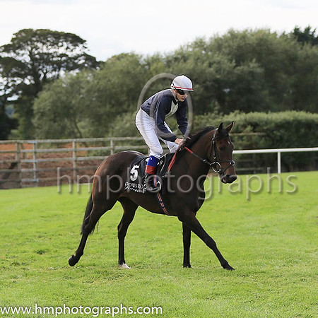 04th Espirit D?Escalier and R P Whelan ( 5 , blue, beige panel ) Trainer - J F Levins , Owner - Epitome Racing