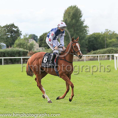 10th Mrs Browne?s Girl and C D Hayes ( 6 , dark blue, white star ) Trainer - H Rogers , Owner - Nap Partnership