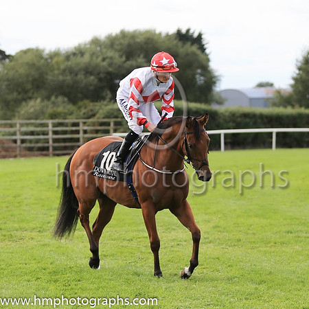 02nd Sundance Star and S Foley ( 10 , white, red diamond ) Trainer - K J Condon , Owner - Thomas Molan