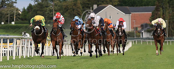 01st Rockview Spirit and R P Downey ( 9 , pink and white diamonds ) Trainer - J C McConnell , Owner - Rockview Racing Club