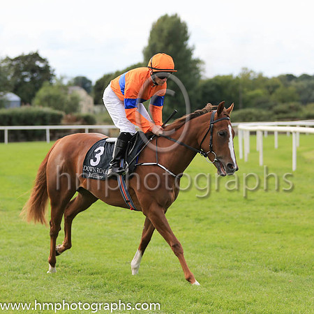 05th Commodus and W M Lordan ( 3 , orange, blue hoop ) Trainer - Joseph P O?Brien , Owner - Mrs A M O?Brien