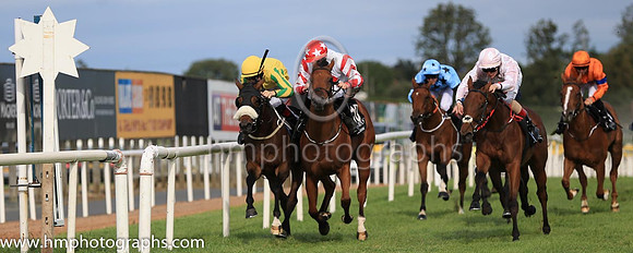 01st Rockview Spirit and R P Downey ( 9 , pink and white diamonds ) Trainer - J C McConnell , Owner - Rockview Racing Club