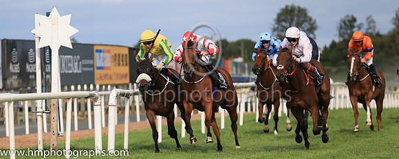 03rd Rita Levi and C T Keane ( 8 , yellow, green and yellow striped sleeves ) Trainer - G M Lyons , Owner - David Spratt  Sean Jones