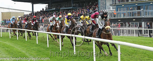 02 Ballintotty Boy & Mr P A King - 2nd (2, black, grey diamonds) - CU2D1819-17