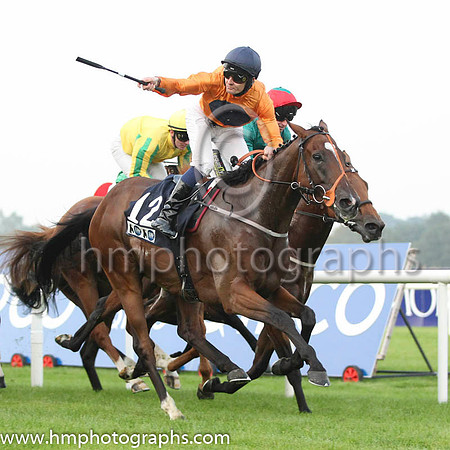 01 Baraweez and C O'Conoghue - - 01st (12 ,orange, dark blue disc ) Trainer - B Ellison
