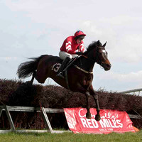 Traad Bay , 4th, Jockey - W Thompson -CU2D4573-e