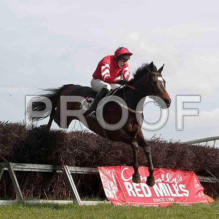 Traad Bay , 4th, Jockey - W Thompson -CU2D4573-e