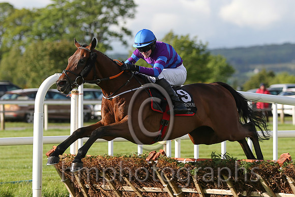 01st Mustadrik (USA) ( 19 , blue and purple hoops ) and J.W. Kennedy (7) - Trainer : Gordon Elliott - Owner : Richard Gilbert