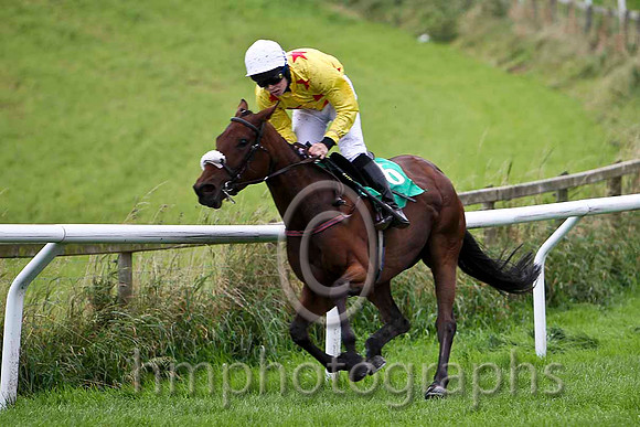 Brer Rabbit , Jockey S E Butler in the lead - Fell - CU2D2259-e