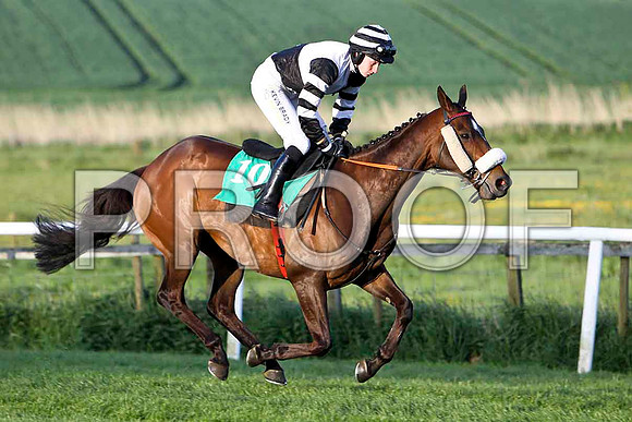 Norwich Flyer , 2nd , Jockey Miss Nina Carberry - FT8E3133-e