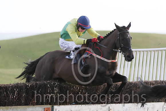 01 Mr Bolt  D H Lavery - Trainer : Sean McParlan, Black and tan check