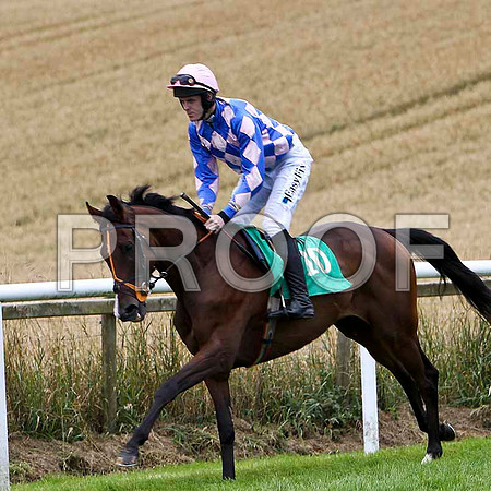 Sun Fisher - 3rd, Jockey Andrew J McNamara   - FT8E3829-e