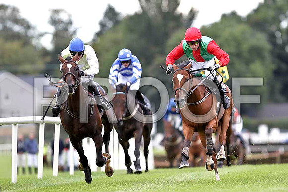 Harrington 2nd, Allyonice 4th & Striking Force 1st , Jockey K H Clarke - FT8E3767-e
