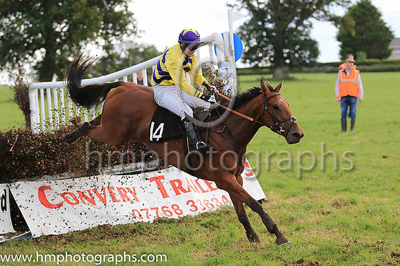 03rd SHANMULLAGH and S P Kelly ( 14 ,yellow, purple chevrons ) Trainer: Noel C. Kelly,, Owner : Mrs. C. Kelly