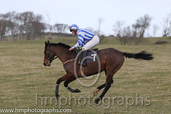 07 Francie Gwynne (7)  G Quinn - Trainer : Gary McGill, Blue and white stripes