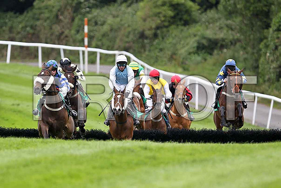 Lisselan Champion , Glen Orchy Lad ,  Fleeting Moment, Silverlord , Golden Grimshaw ( red cap), Turner Brown & Mr Dazza - FT8E1642-e