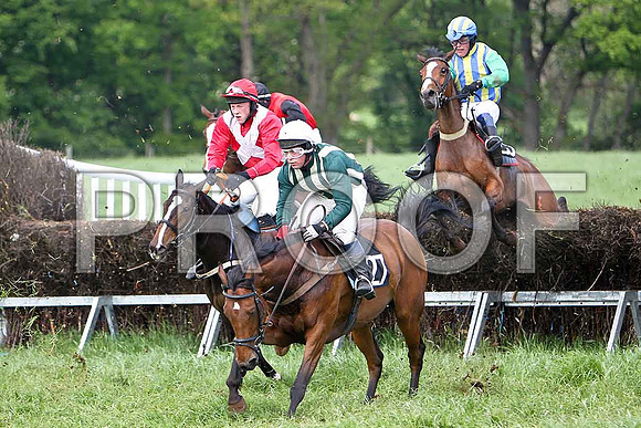 Fifth Race Div 1 - Carlinty (16) Winner, Rider W Thompson- CU2D9652-e