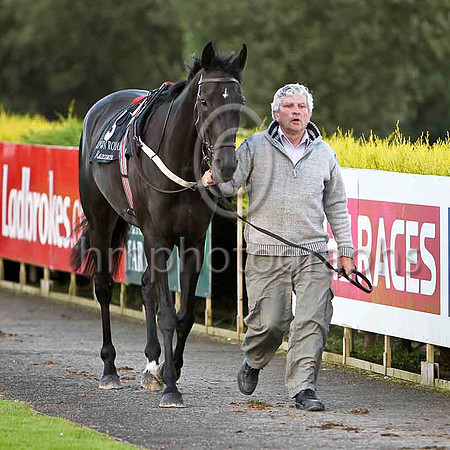 Shu Lewis & D P McDonagh - 3rd (3, black and yellow hoops) - FT8E6284-e