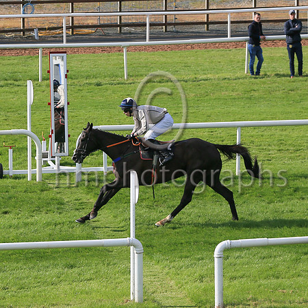 01st Dovlator and P.J. O'Hanlon(2) (4 ,beige, blue seams ), Trainer:Dermot Anthony McLoughlin , Owner:Mrs Fidelma Toole