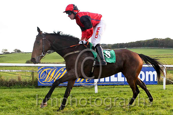 Emmas Island - Jockey Mr B O'Neill - 7tth - FT8E4511-e