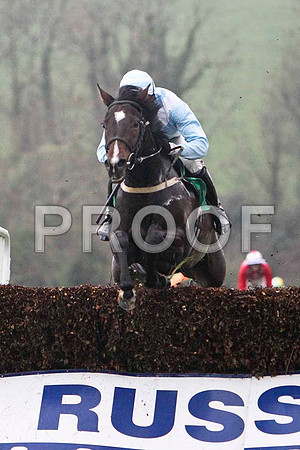 Strolling Home , 3rd - Jockey A P Thornton - FT8E5393-e