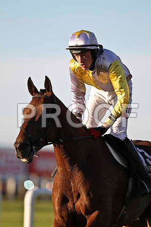 Trideag 8th, Jockey J L Cullen - FT8E1143-e