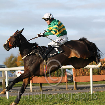 01 Jezki & A P McCoy - winner (1,emerald green and orange hooped ) - FT8E0051-2