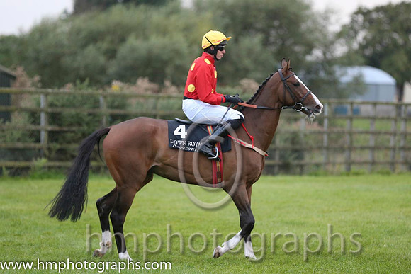 01 Our Sox and Mr S Clements - - 01st (4 ,red, yellow stars ) "