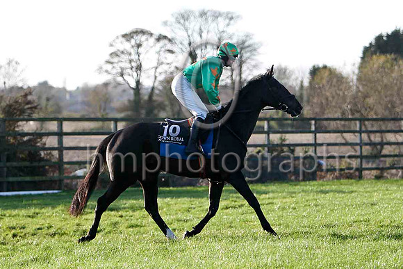 Baily Dusk , 9th - Jockey M J Ferris - FT8E6585-e