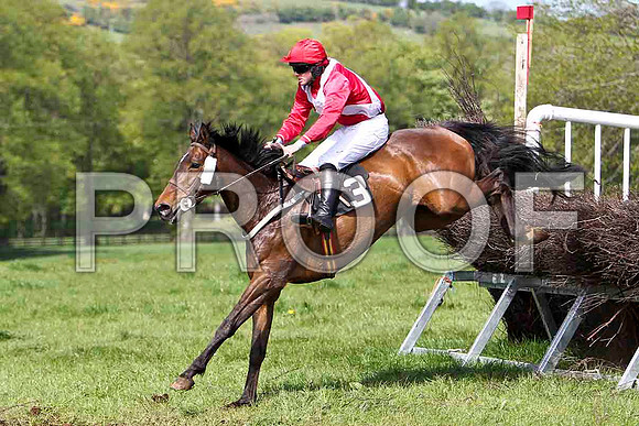 Knockans Breeze - Unplaced -FT8E2007-e