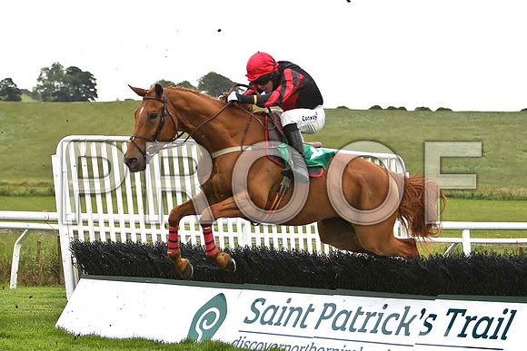 Turner Brown 2nd, Jockey A E Lynch - CU2D0766-e