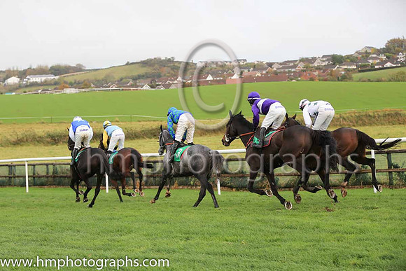 01st Silver Star and D N Russell ( 3 , royal blue and emerald green check ) Trainer - G Elliott , Owner - Royal?s  Blue Syndicate