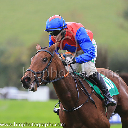 01st Moonball and A E Lynch ( 10 , red, royal blue diamond ) Trainer - G P Cromwell , Owner - JRM Racing Syndicate
