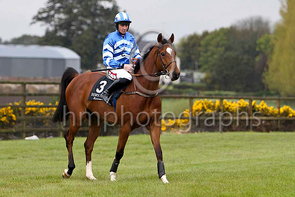 Abaltor (3, royal blue and light blue chevrons) & D N Russell - 8th - FT8E2626-e