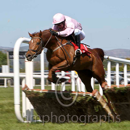 Cuchullain - 7th, Jockey Mr S F Magee - FT8E2168-e