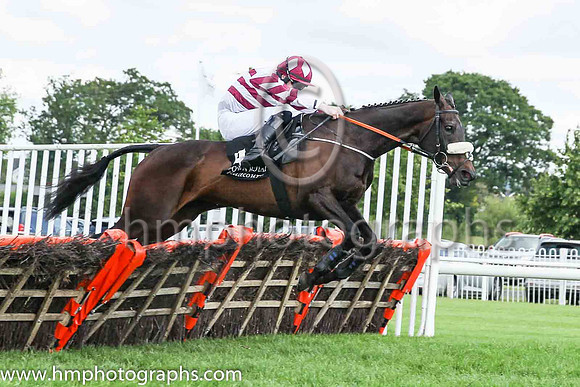 03rd Sit Down Lucy and M.P. Walsh (4 ,maroon and white hoops ), Trainer:Peter Fahey , Owner:Padraic F Ryan