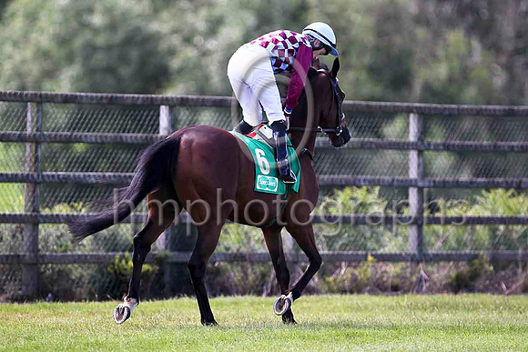 Funatfuntasia 9th, Jockey W J lee- FT8E1287-e