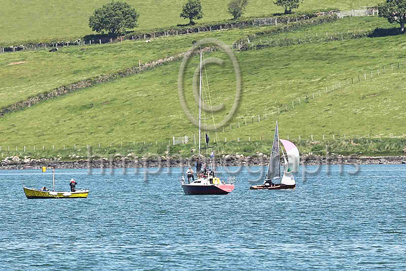 3rd, Gold, 14277, Curly Morris & Meg Tyrrell, EABC/NSC - 8, 3, 5, 4, 4, (13) - Total = 37, Nett = 24