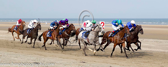 1 Our Max and S Foley - - 1st (3 ,white, emerald green large spots ) Trainer - Patrick Martin