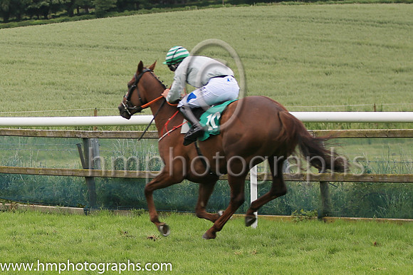 09th Unknown Buyer (10 ,grey ) Jockey: Mr B W Harvey(7) ,Trainer: B R Hamilton