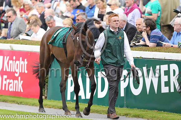 Race 1 at Leopardstown on Champions Day