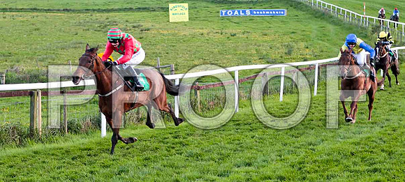 Mister Music Man , Winner, Jockey - Nina Carberry -CU2D9327-e