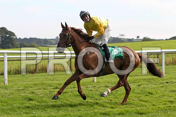 Finnegan express, 11th Jockey Mr J Creswell- FT8E3174-e