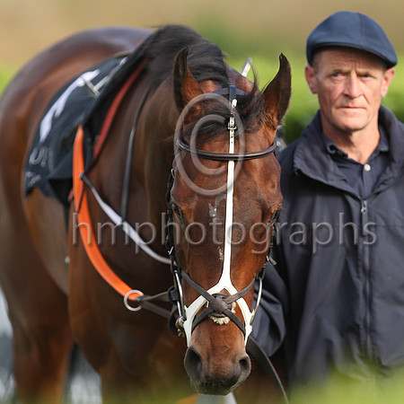 01st Mr Michael  Shane Foley (6, light blue, black stars) trainer Adrian Brendan Joyce, Owner Mrs Christina Joyce