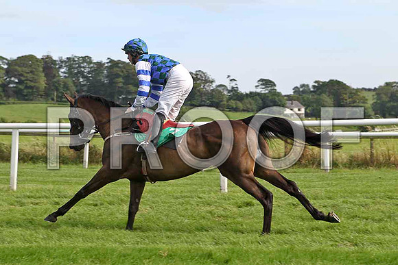 Marvelle Lady 5th, Jockey Mr S Crawford - FT8E3150-e