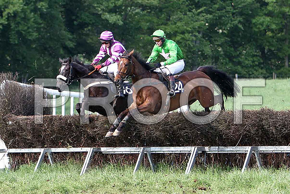 Race 6 Div 2 - Kirkello (16)  PU, Rider  N McParlan & Pay As You Go (24) PU, Rider M J Henry- CU2D9801-e