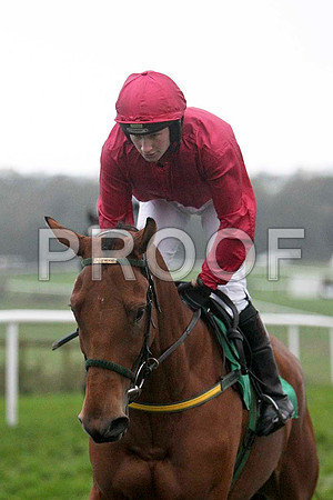 Griesenau , 3rd, Jockey - Miss N Carberry - FT8E5523-e