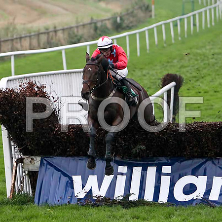 Paddy O Dee - Winner, Jockey D J Bates - FT8E5413-e